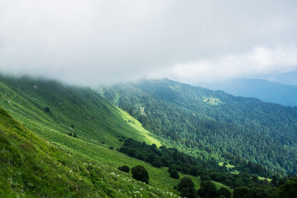 Low clouds in the green mountain valley