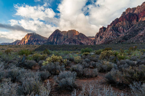 istock Desert Valley Floor before Spring Mountains view after Morning Rainstorm 1316511199