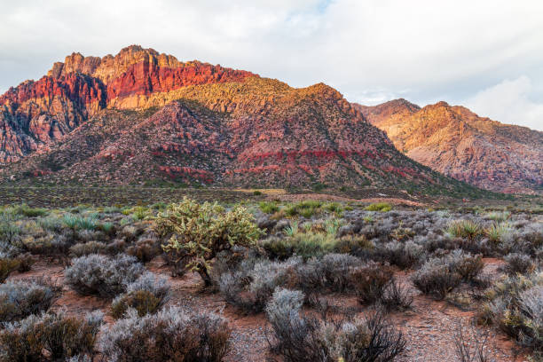 istock Desert Valley Floor before Spring Mountains view after Morning Rainstorm 1316511211