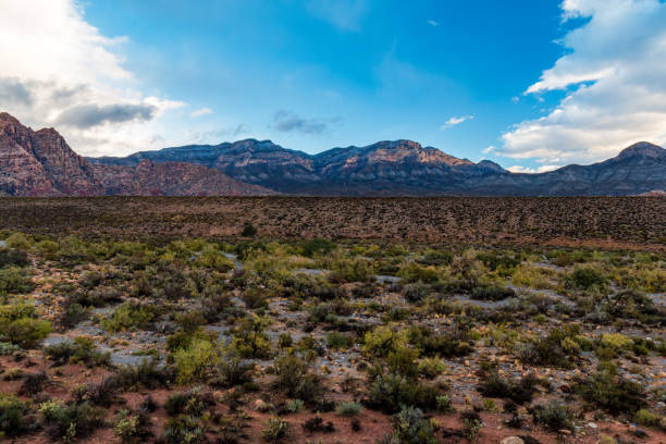 istock Desert Valley Floor before Spring Mountains view after Morning Rainstorm 1316511273