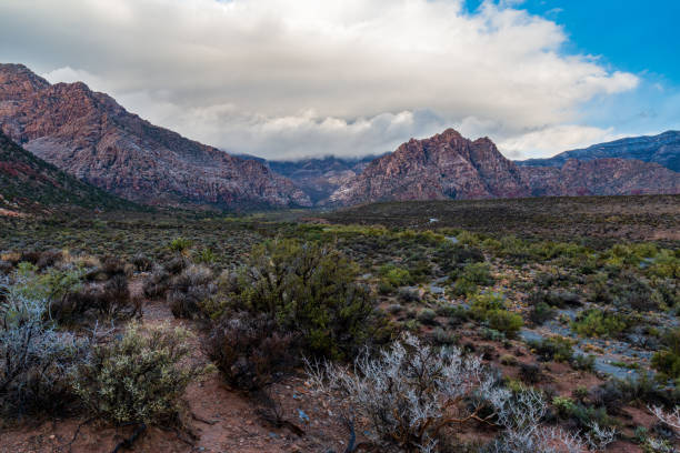 istock Desert Valley Floor before Spring Mountains view after Morning Rainstorm 1316511787
