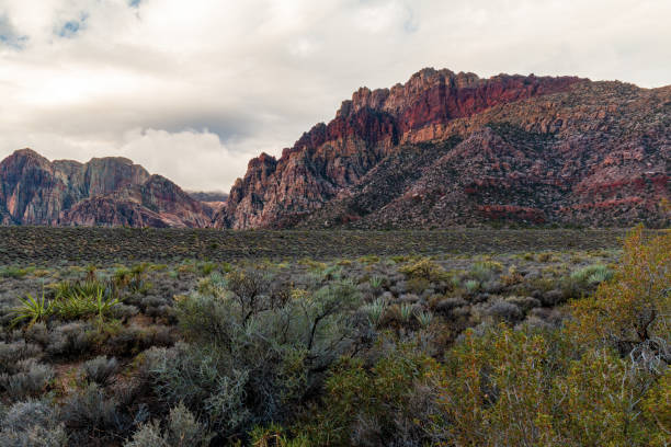 istock Desert Valley Floor before Spring Mountains view after Morning Rainstorm 1316511809