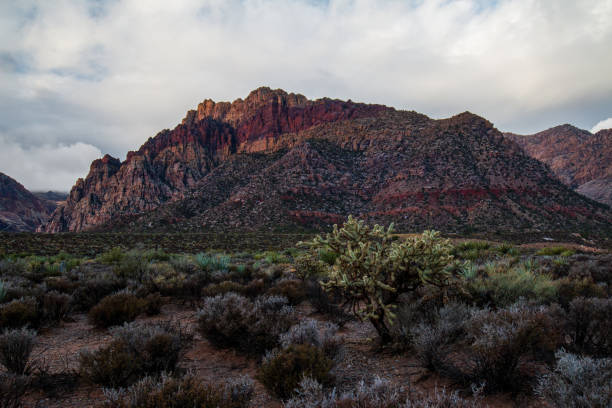istock Desert Valley Floor before Spring Mountains view after Morning Rainstorm 1316511824