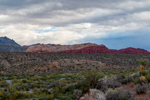 istock Desert Valley Storm Calico Hills Red Rock Canyon 1316511911