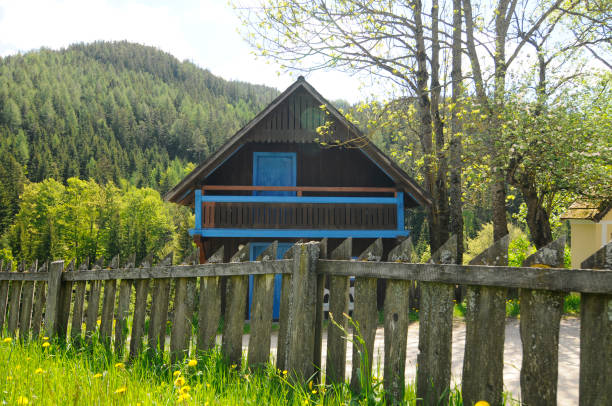 istock House build with timber material 1316513119