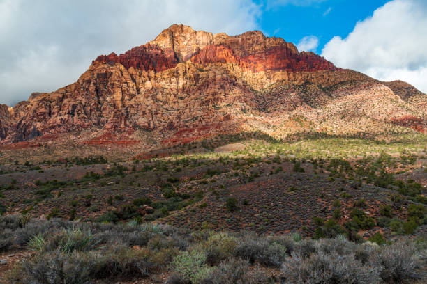 istock Early Morning at Spring Mountains Red Rock Canyon 1316514036