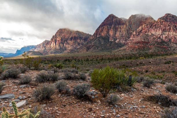 istock Early Morning at Spring Mountains Red Rock Canyon 1316514094