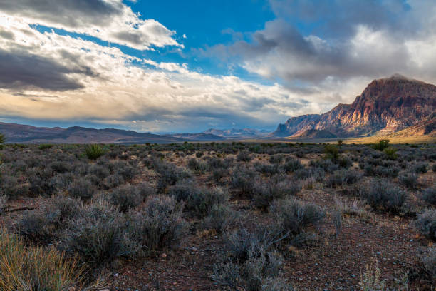 istock Early Morning at Spring Mountains Red Rock Canyon 1316514138
