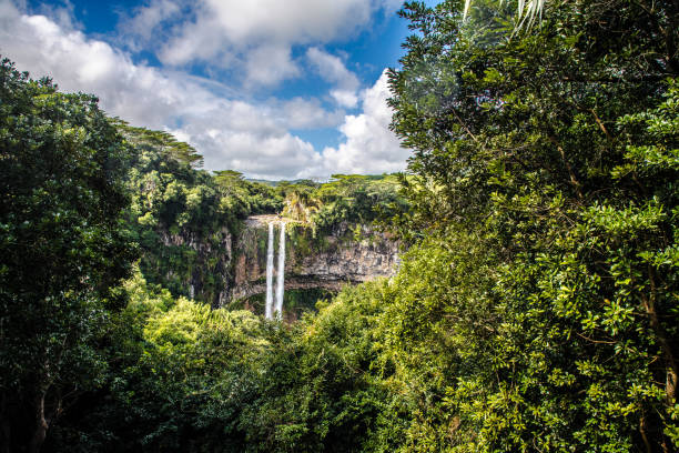 istock The beautiful Waterfall in Chamarel, Mauritius, Africa 1316514320