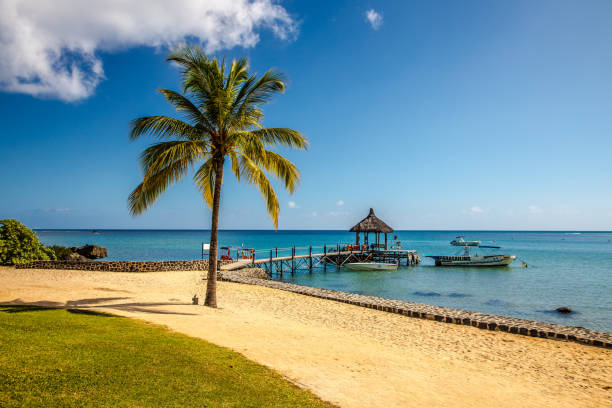 istock Beach at Balaclava, Mauritius, Africa 1316514980