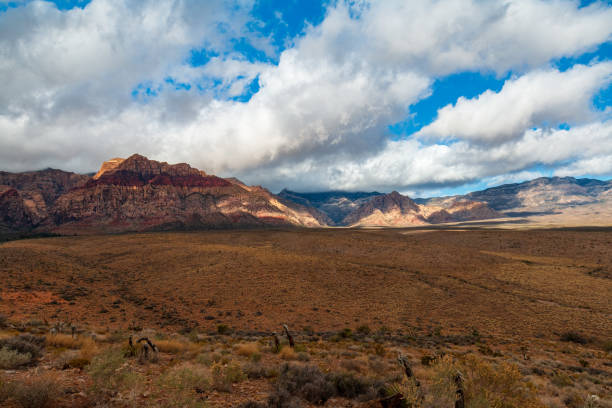 istock Cloudy Desert Valley Floor before Spring Mountains Red Rock Canyon 1316516759