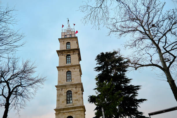 istock Bursa old watchtower in Tophane district behind the withered plant 1316517413