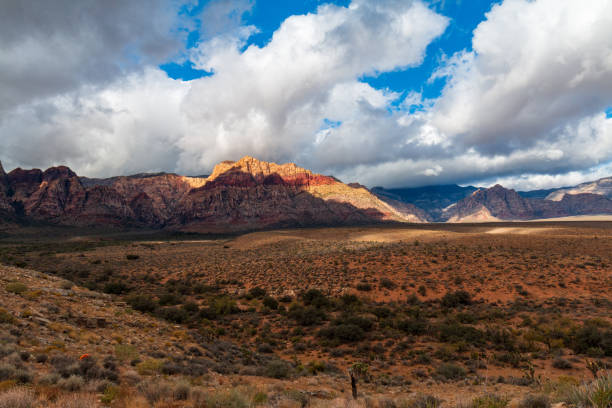 istock Cloudy Desert Valley Floor before Spring Mountains Red Rock Canyon 1316517425