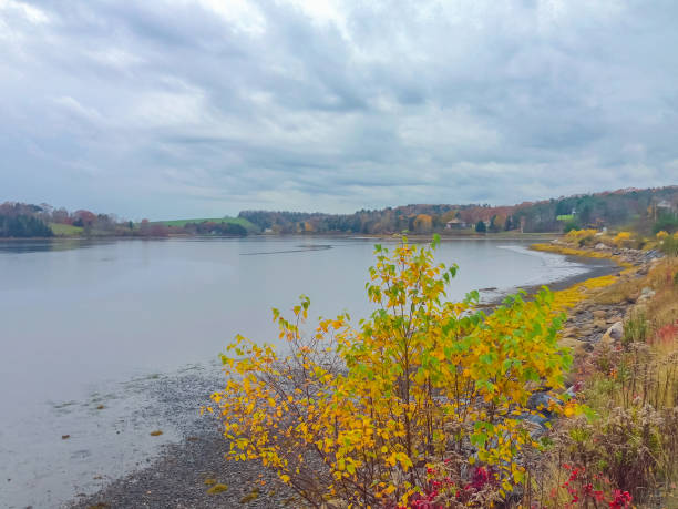 istock Lake in autumn in Nova Scotia 1316517496