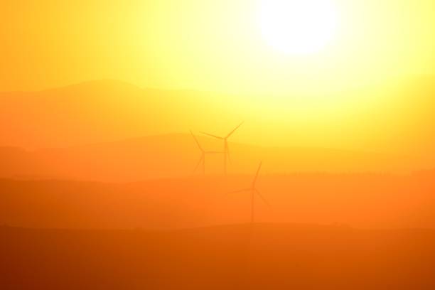 Wind turbines on a Welsh hillside as the sun sets.
