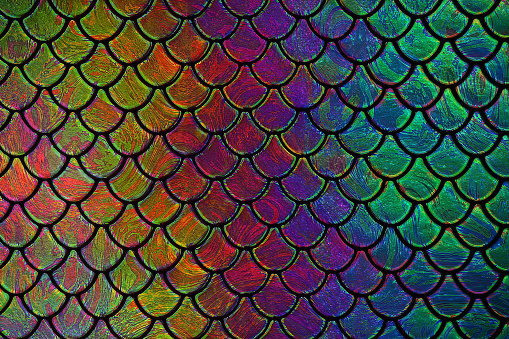 Mermaid fondo fish scale squama pattern Holographic Neon Vidrieras Arco Iris Vieira Textura abstracta dragón reptile dinosaurio serpiente camaleón lizard piel colorida perla brillante tonificado macro fotografía photo