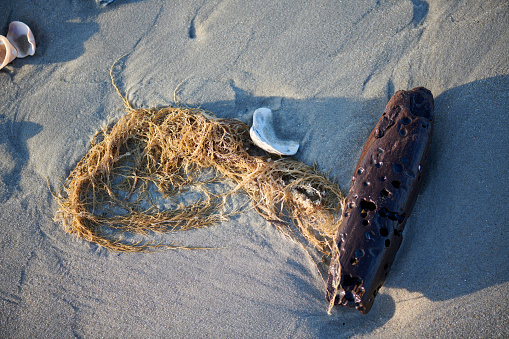 environmental pollution, the concept of garbage on the beach