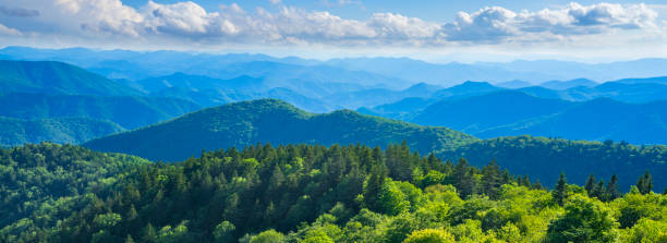 A panoramic view of the Smoky Mountains from the Blue Ridge Parkway. Image for web header or banner. Summer mountain scenery with layers of green hills and mountains. Near Asheville, Blue Ridge Mountains, North Carolina, USA. appalachian mountains photos stock pictures, royalty-free photos & images
