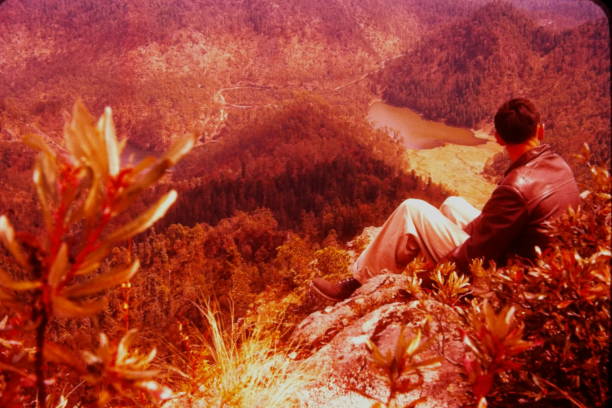 istock Living in a red dream 1316527354