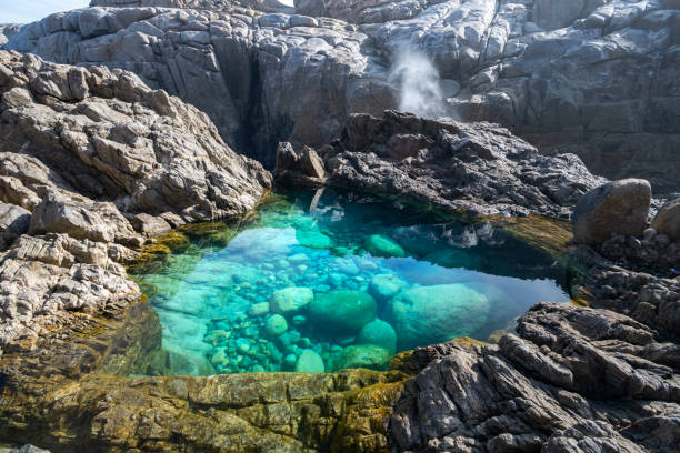 istock The Wild South Coast 1316530329