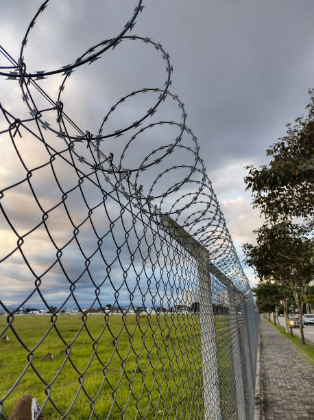 istock Barbed wire fence with cloudy sky in the background. 1316536664