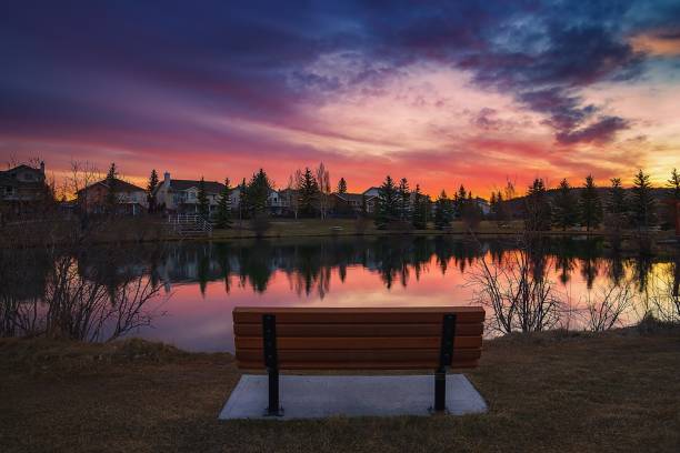 Bench Views Overlooking A Spring Park Lake At Sunrise This was taken at a Cochrane park lake in the springtime during a colourful and cloudy sunrise sky. cochrane alberta stock pictures, royalty-free photos & images