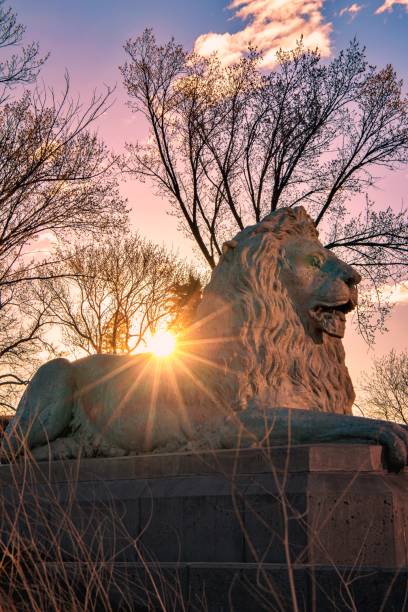 Sun Beam Shining Over A Park Statue