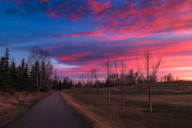 Bright Sunrise Over A Spring Park Pathway A colourful sunrise sky over a spring park pathway in Cochrane. cochrane alberta stock pictures, royalty-free photos & images