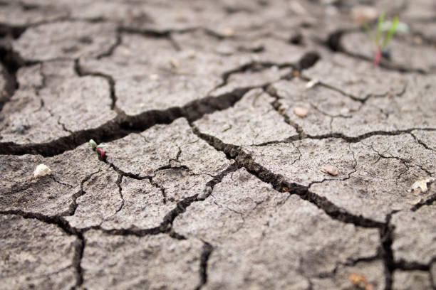 istock Deep cracks in the ground. The dry ground cracked. 1316547680