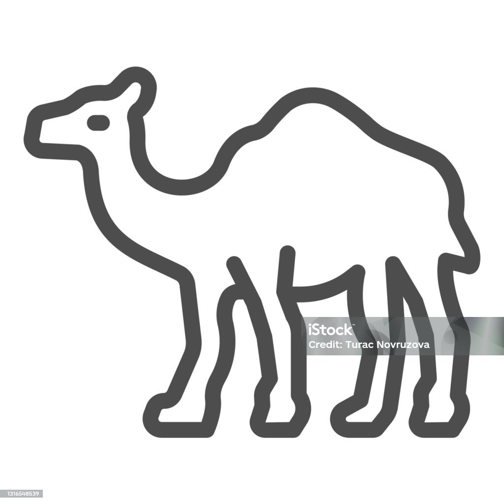 Kamel Zeichen Kamelliniesymbol Worldwildlifekonzept Kamel Vektorzeichen Auf Weißem ...