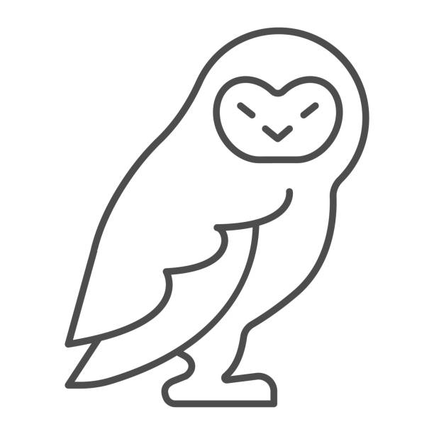 ilustraciones, imágenes clip art, dibujos animados e iconos de stock de icono de línea delgada de búho del bosque, concepto worldwildlife, signo vectorial de búho sobre fondo blanco, estilo de contorno de búho del bosque para el concepto móvil y el diseño web. gráficos vectoriales. - symbol sea animal owl