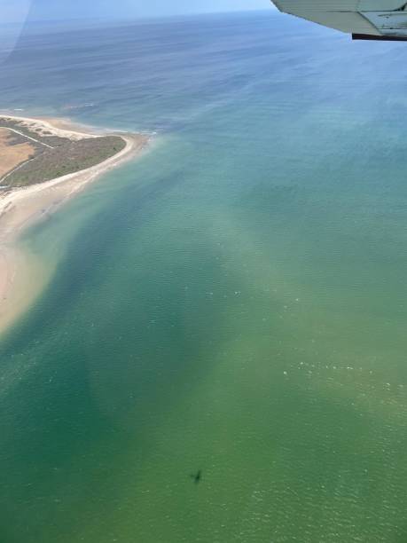 aerial view of plum island and ocean - plum imagens e fotografias de stock