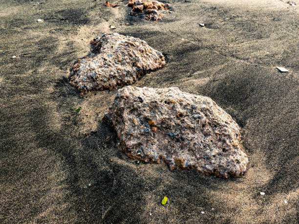 The rocks on the beach sand are gray