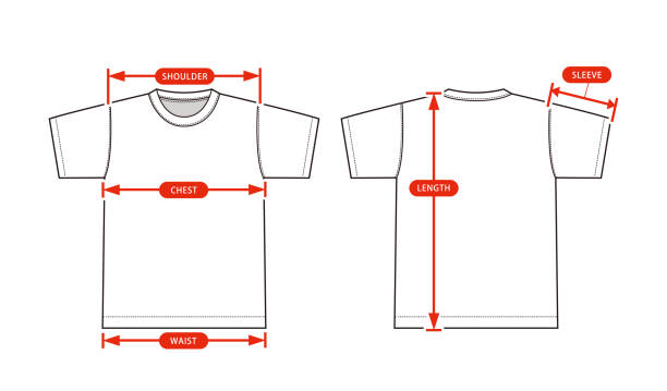 Clothing size chart vector illustration ( Shortsleeve Tshirt ) Clothing size chart vector illustration ( Shortsleeve Tshirt ) マーケティング stock illustrations