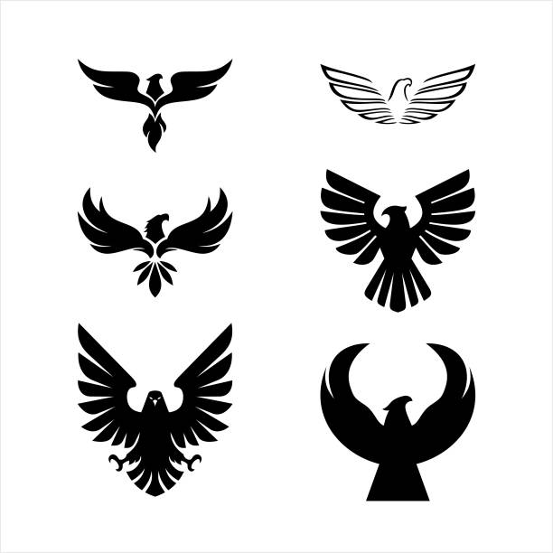 Eagle Icon Eagle illustration, vector icon, set of 6 eagles icon eagles stock illustrations