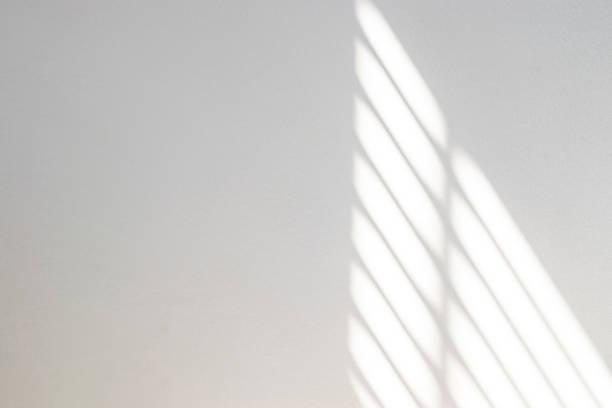 Shadows on wall. Abstract light, black shadow overlay from window on white texture wall. Sunlight architecture background. For product presentation, backdrop and mockup, summer seasonal concept sombras en la pared. luz abstracta, superposición de sombra negra desde la ventana en la pared de textura blanca. fondo de arquitectura de luz solar. para la presentación del producto, telón de fondo y maqueta, concepto de temporada de verano.