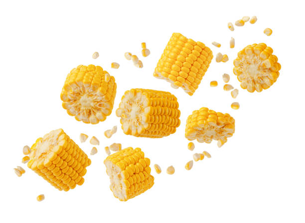 Broken flying sweet corn cob Broken flying sweet corn cob with grains isolated on white. Design element for product label, catalog print. sweetcorn stock pictures, royalty-free photos & images
