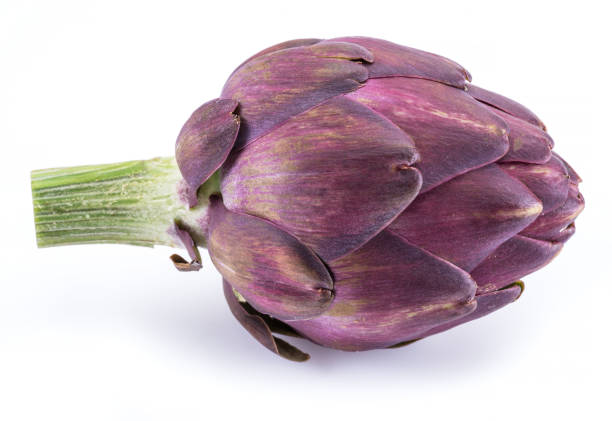 Artichoke on white background with copy space
