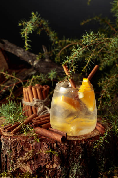 istock Gin and Tonic cocktail with orange and cinnamon. 1316571446