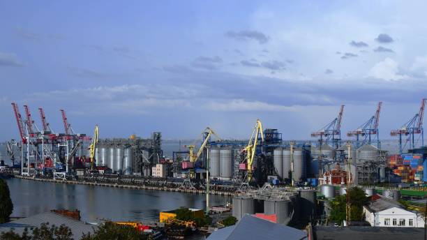 istock Port landscape with cargo loaders and grain elevators under blue sky 1316572294