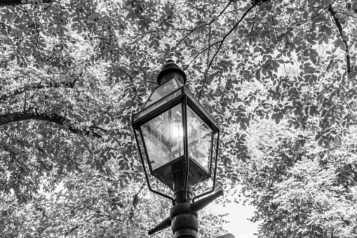 gas lantern in Beacon Hill neighborhood, downtown Boston, Massachusetts