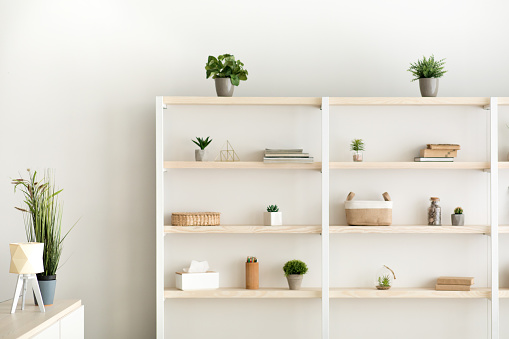 Minimalism and scandinavian style in home interior, studio or office. Shelves with decorative elements, accessories and potted plants on light wall in morning, nobody, empty space, mockup, indoor