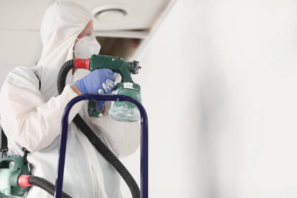 istock Male painter in protective suit is painting wall on stepladder with spray gun 1316572858
