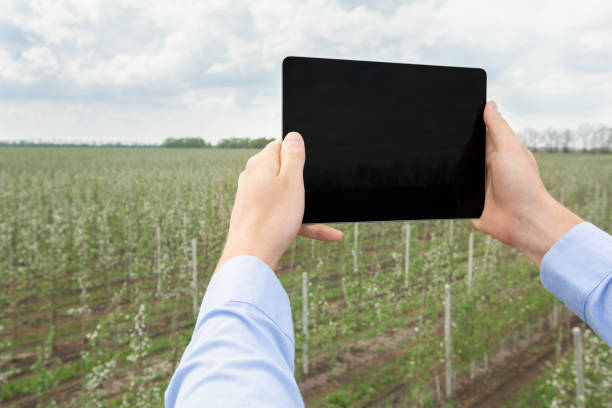 istock Smart agriculture and modern, mobile technology in farming 1316579050