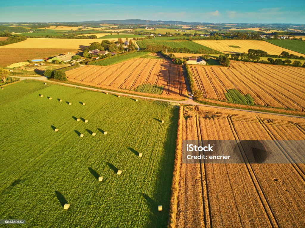 Aerial view of pastures and farmlands in Brittany, France Aerial view of pastures and farmlands in Brittany, France. Beautiful French countryside with green fields and meadows. Rural landscape on sunset Agriculture Stock Photo
