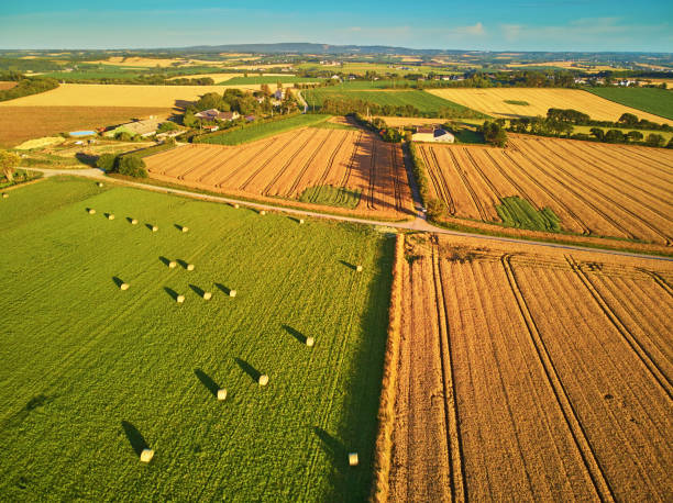 vista aérea de pastagens e fazendas na bretanha, frança - agricultural scene - fotografias e filmes do acervo
