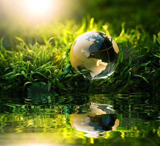 istock Crystal Planet Earth in reflection on green grass at sunset.  Environmental and Earth Day Concept. 1316580847