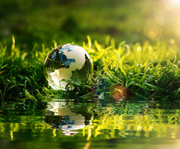 istock Crystal Planet Earth in reflection on green grass at sunset.  Environmental and Earth Day Concept. 1316580857