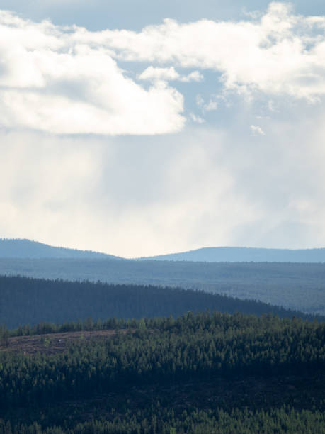 istock Mist and rain over forest and mountains in Idre, Sweden 1316582808