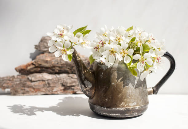 istock Old cute teapot, decorated with natural cherry flowers on a white background. 1316583265